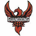 东莞新彤盛女篮logo